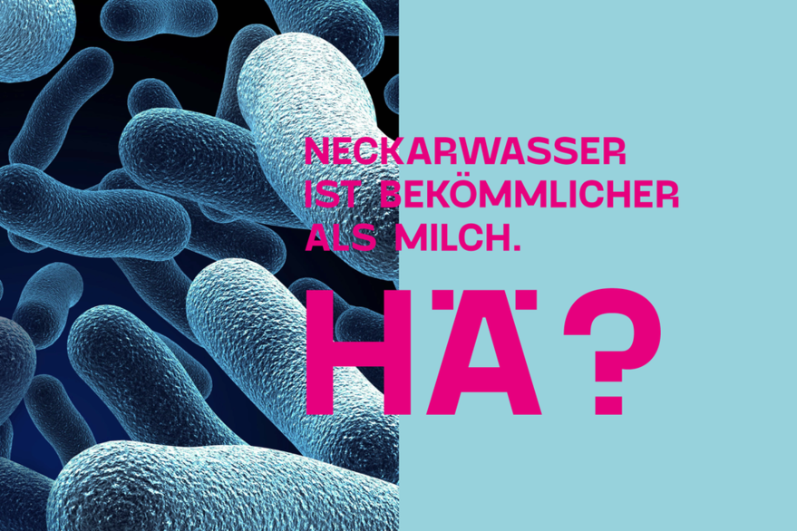 Video zum Wissenschaftsfestival 2022: Neckarwasser ist bekömmlicher als Milch. HÄ? Dr. Maren Podszun, Fachgebietsleitung Ernährungswissenschaft & Diätetik von der Universität Hohehenheim, erklärt diese Aussage.